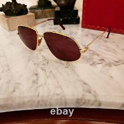 Cartier Panthere GM Glasses